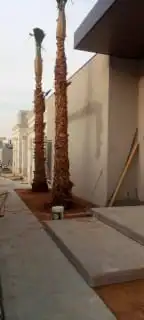 شبوك مزارع وكسارات ونخيل عربي وشنطني اتصل نصل لسنا الوحيدين 9