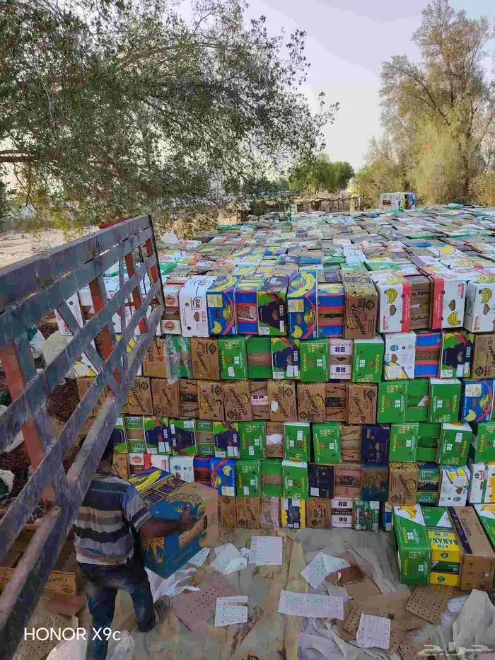 كراتين موز جديده حق تمر 1