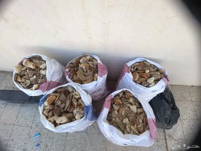 خبز يابس للبيع 3
