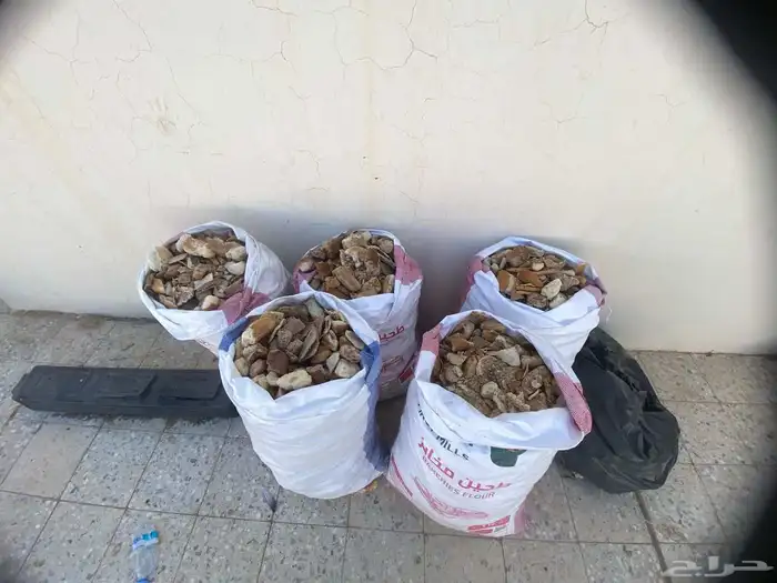 خبز يابس للبيع 1