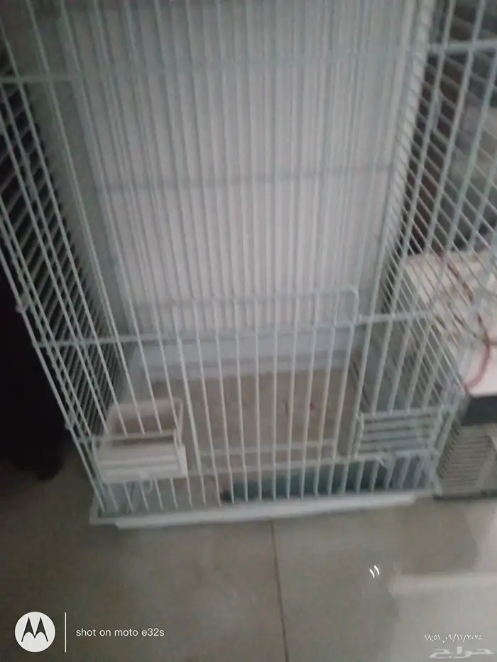 قفص ببغاء كبير 0