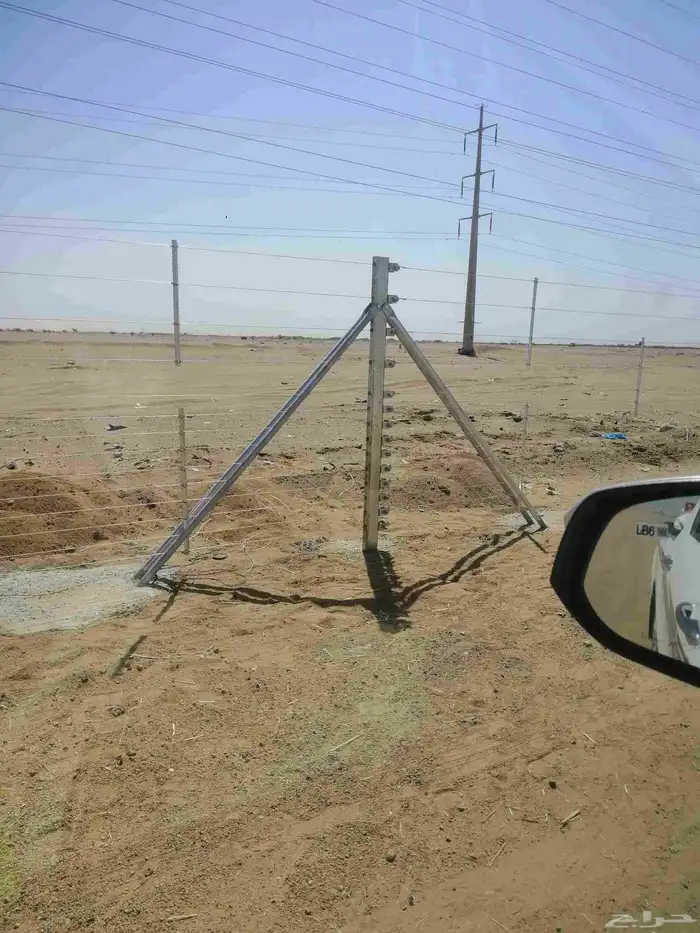 شبك وزراعه نخيل 5