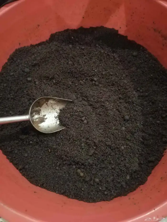بخور ملكي بخلطه خاصه 3