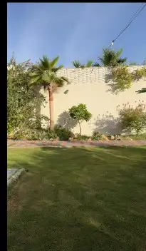 تنضيف مزارع واحواش وبنيان جدران صغيره 1