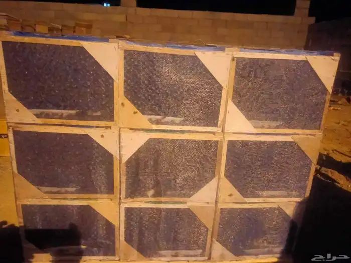 نحل مصري علي الشرط خالي من الامراض 0
