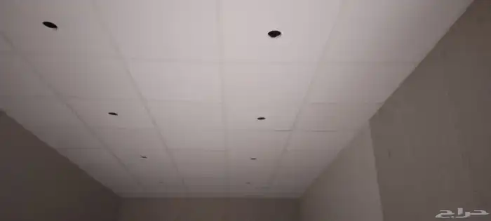 60  60 بلاص مستعار 4