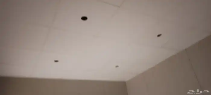 60  60 بلاص مستعار 5