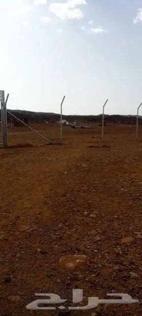 شبوك مزارع وكسارات ونخيل عربي وشنطني اتصل نصل لسنا الوحيدين 3