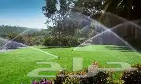 زرع طبيعي تكريب نخل شبكه ري أشجار مثمره 1