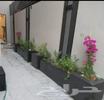تنضيف مزارع واحواش وبنيان جدران صغيره 0