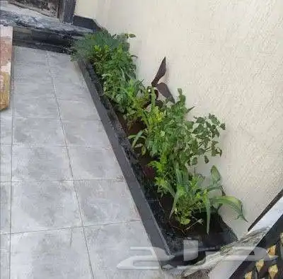 تنسيق حدائق اشجار جلسات احواض زرعيه شلالات مجلس زجاج 2