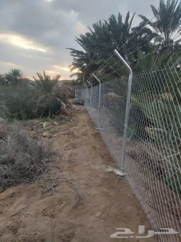 شبوك مزارع وكسارات ونخيل عربي وشنطني اتصل نصل لسنا الوحيدين 1