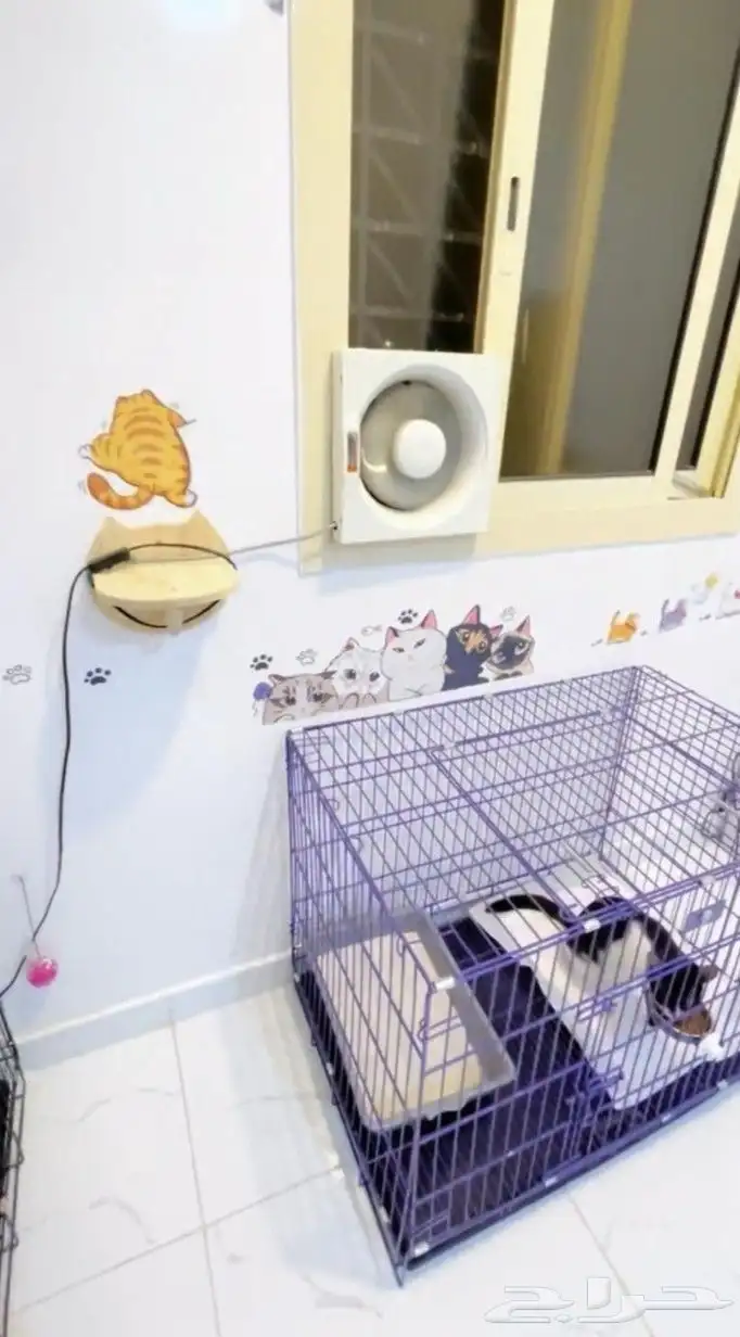 فندقة قطط وكلاب صغيرة في الاحساء 2