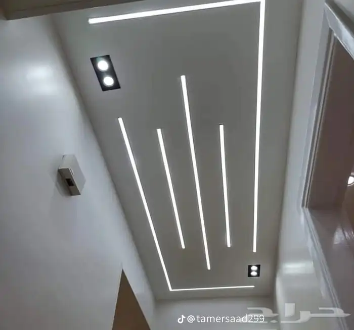 مقاول جبس و جبسم بور 2