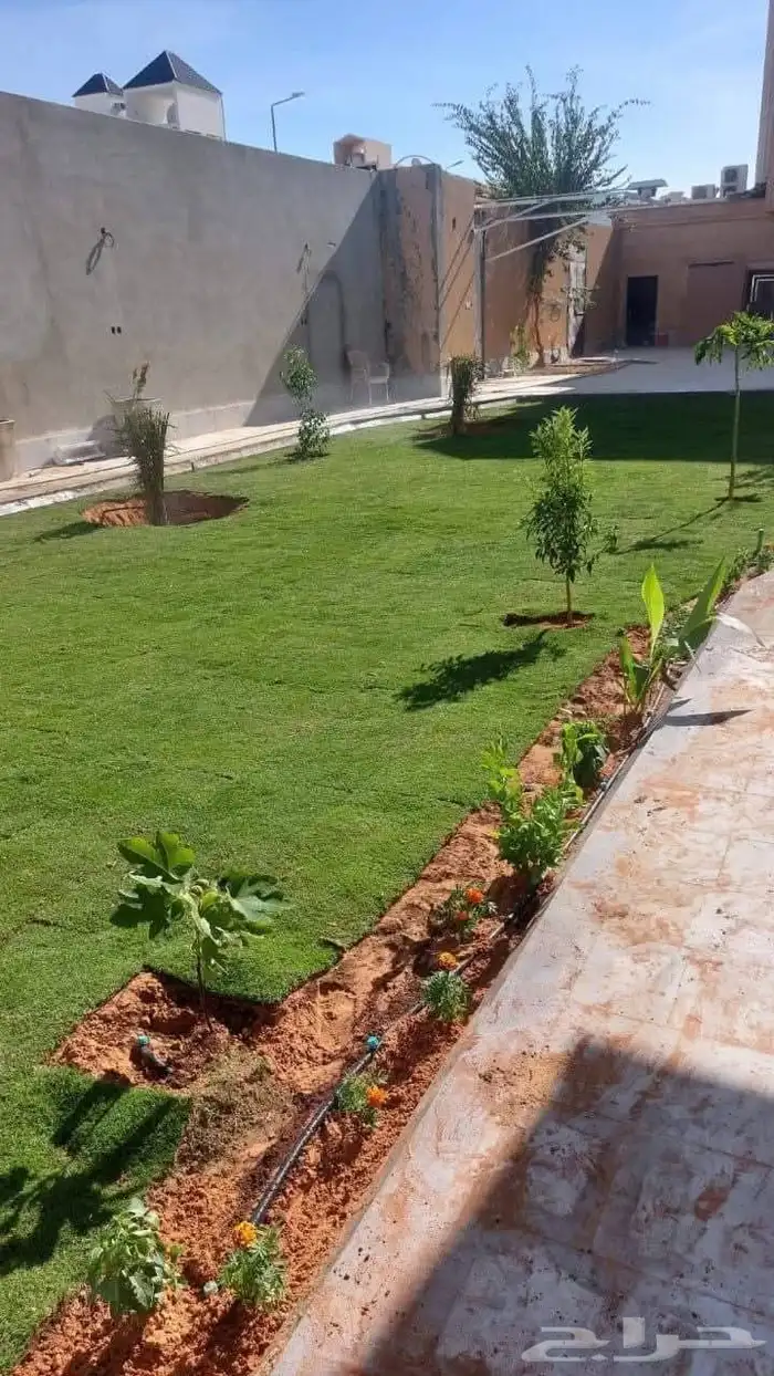 م ابو احمد تنسيق حدائق وتركيب جميع انواع الثيل الصناعى والطب 0