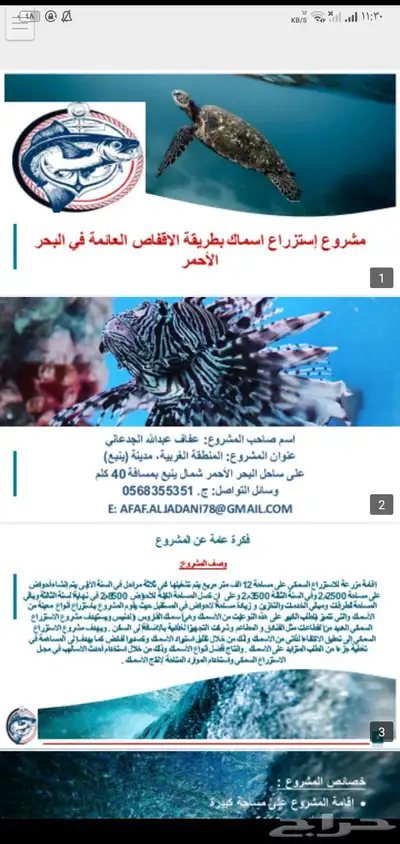دراسات الجدوي index