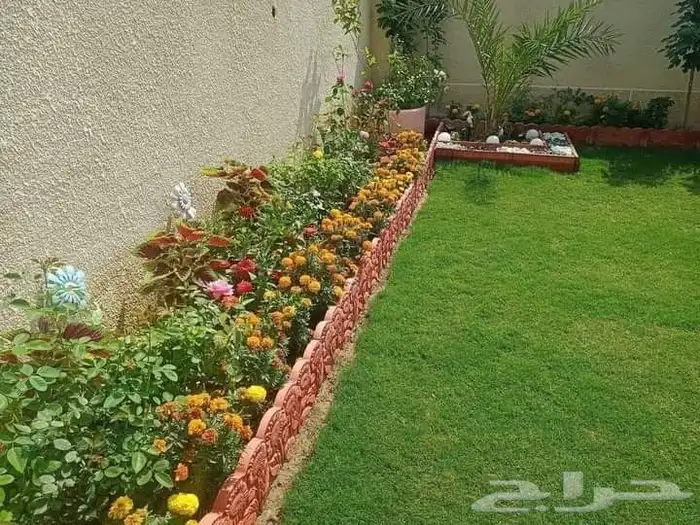 م ابو احمد تنسيق حدائق وتركيب جميع انواع الثيل الصناعى والطب 3