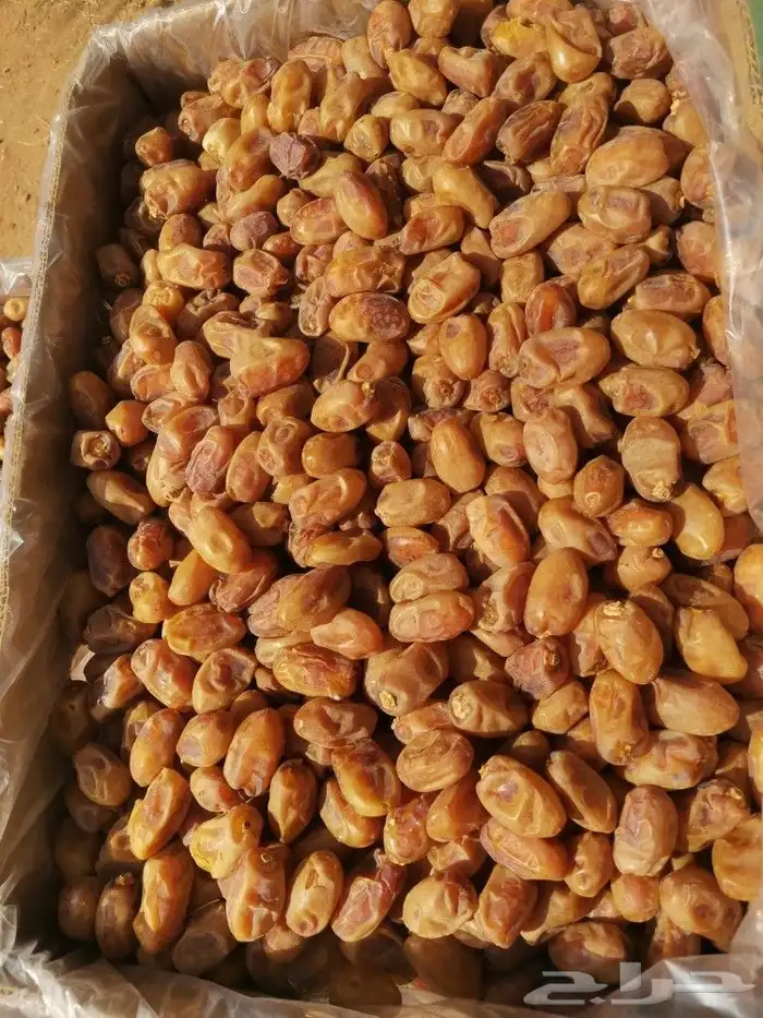 خلاص طيب ونظيف ولون اصفر 3
