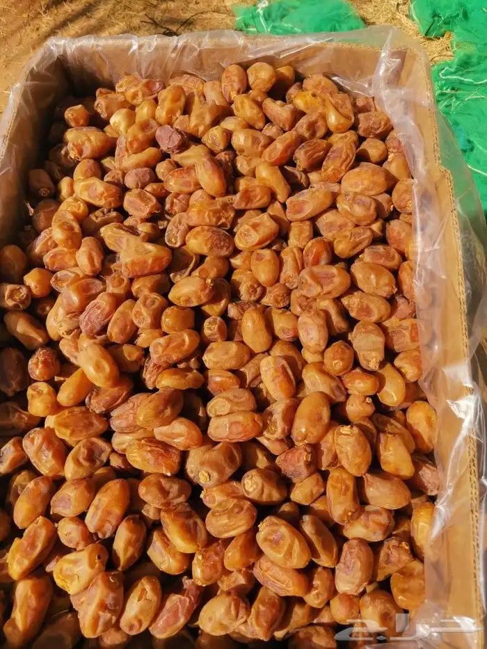 خلاص طيب ونظيف ولون اصفر 2