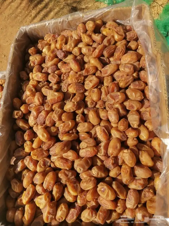 خلاص طيب ونظيف ولون اصفر 4