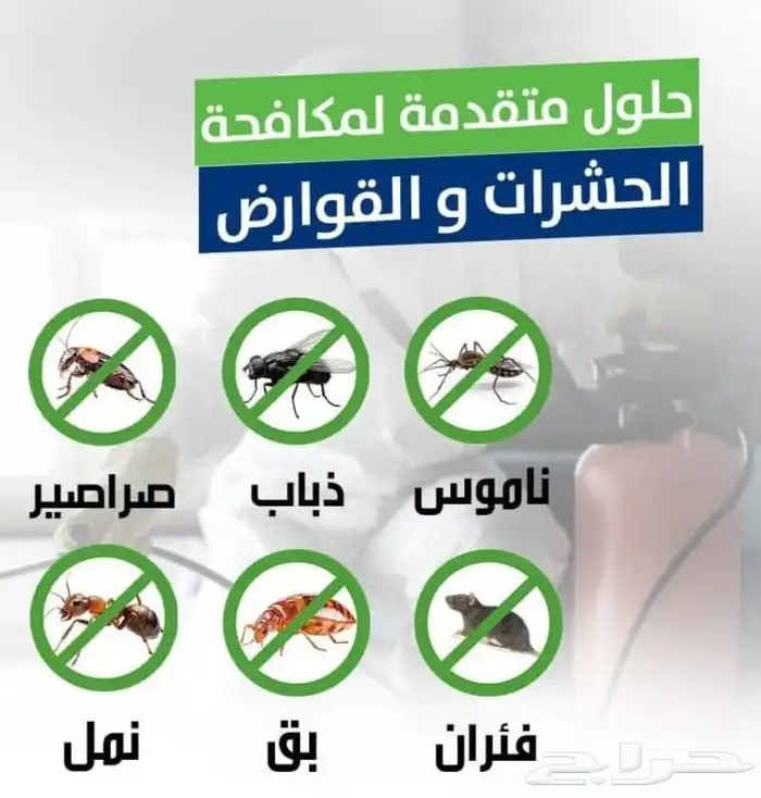 شركة مكافحة حشرات بمكه  رش حشرات بمكه 2