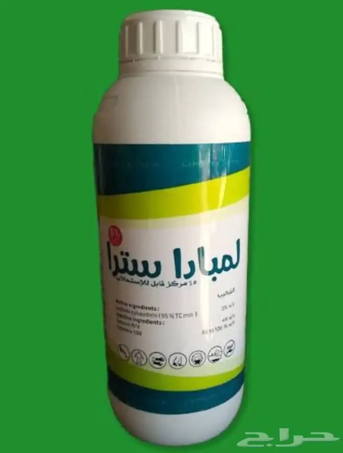 شركة مكافحة حشرات رش بق صراصير جدة آفات حشريه 4