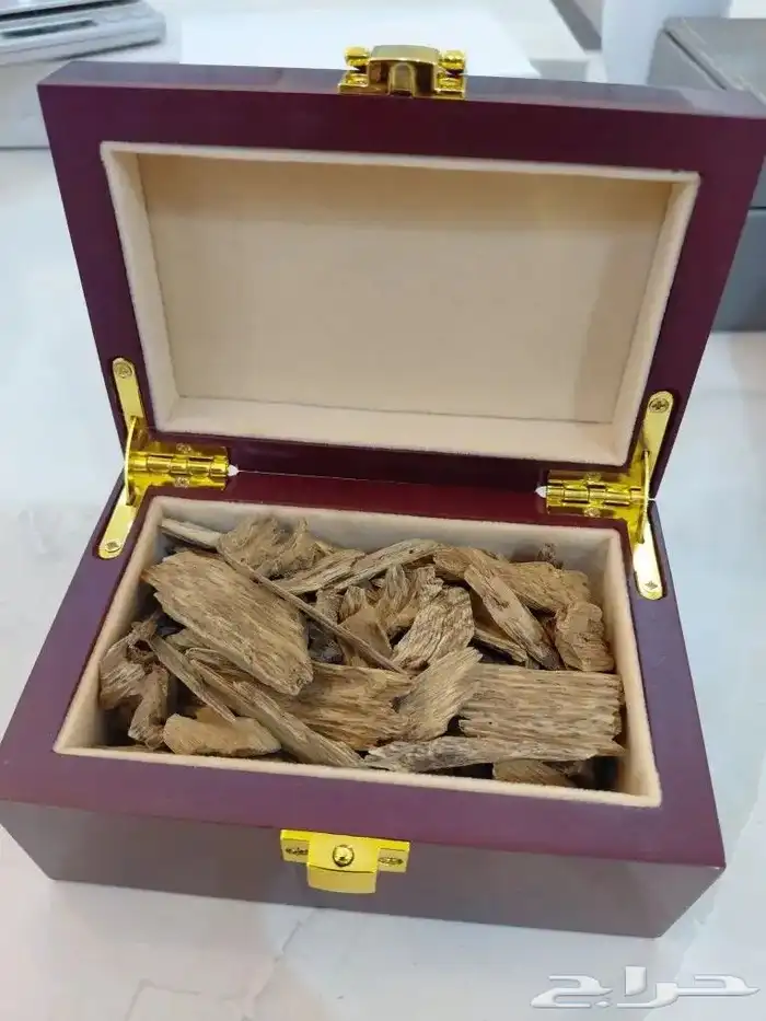 عود كلمنتان بونتيانك طبيعي 1