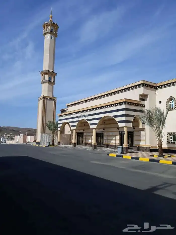 حجر طبيعي سعر منافس جدا 5