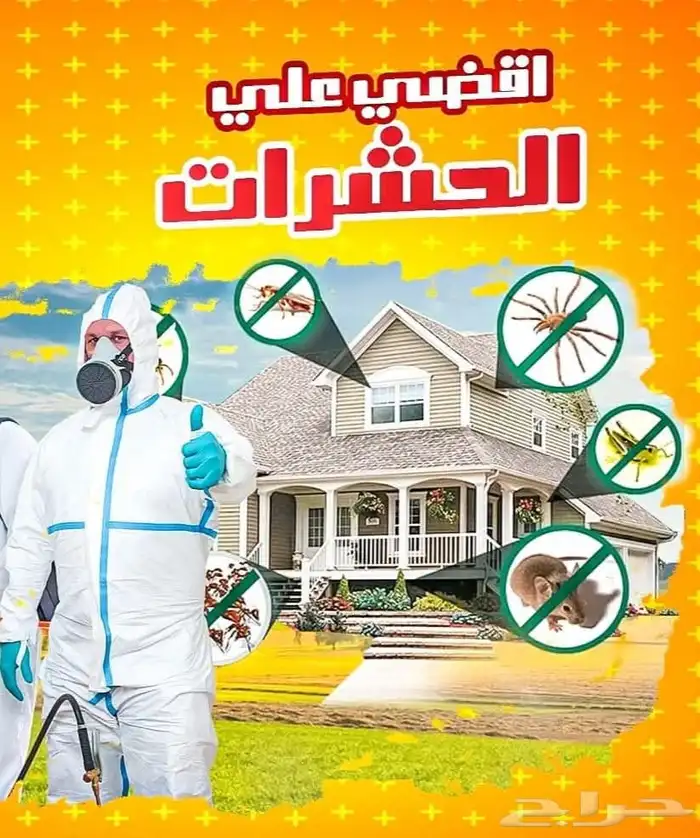 شركة مكافحة حشرات بمكه  رش حشرات بمكه 4