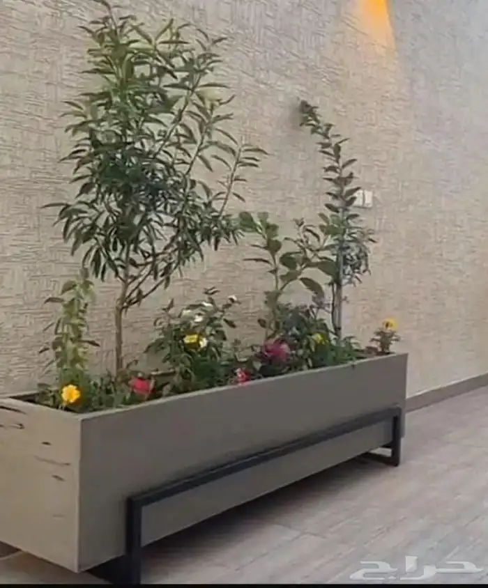 زرع طبيعي تكريب نخل شبكه ري أشجار مثمره 16