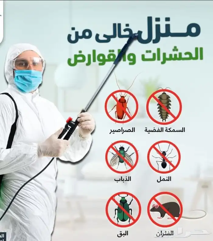 شركة مكافحة حشرات بمكه  رش حشرات بمكه 3
