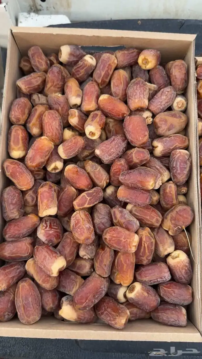 تمور جملة 2