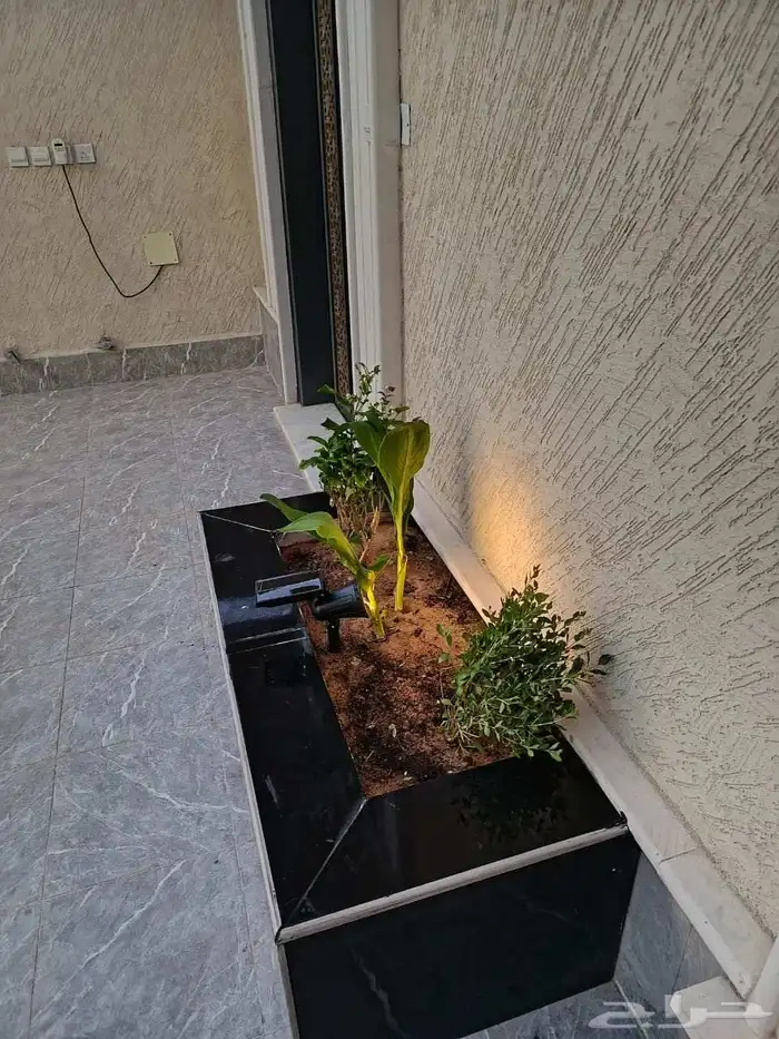 احواض طبيعي 4