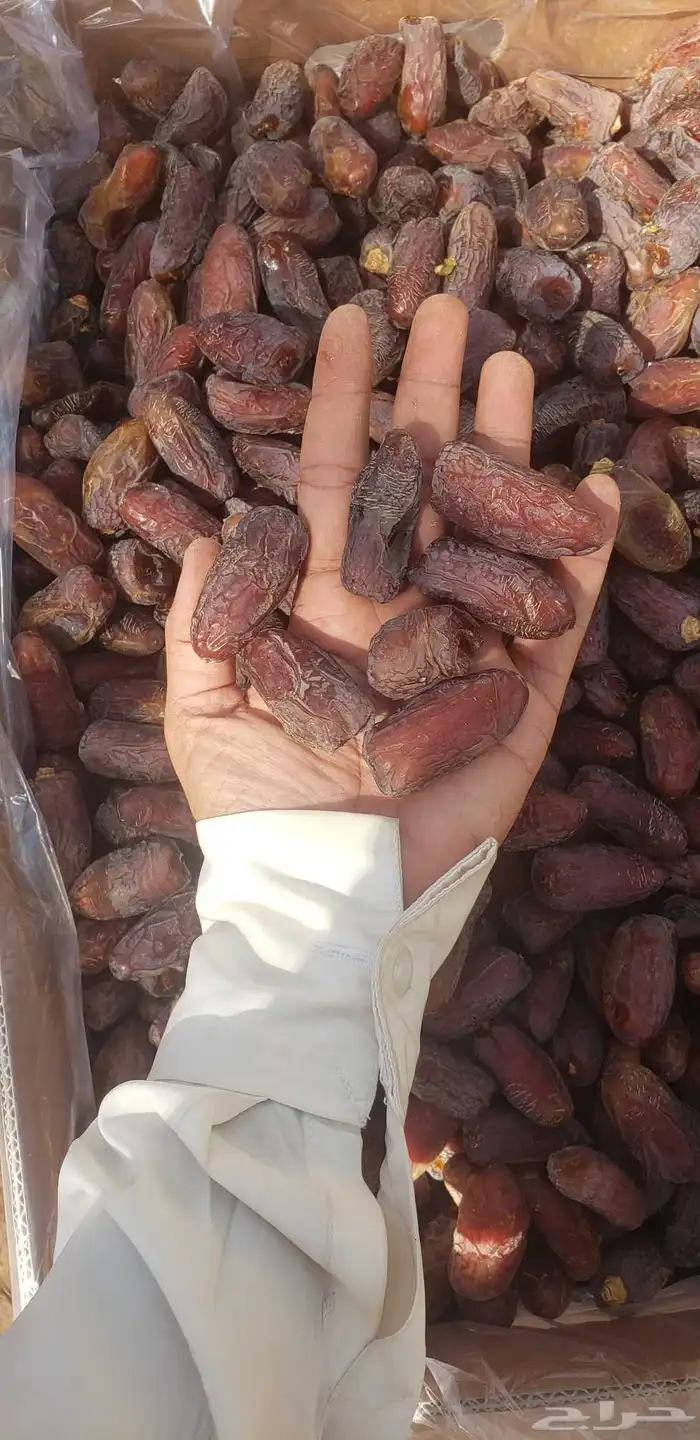 تمور جملة 0