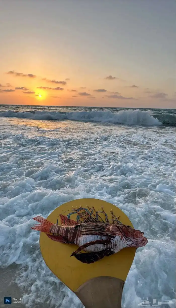 تركيب مجاني مع احدث اجهزه لقوة النت وخصم 50  على سعر الباقات 1