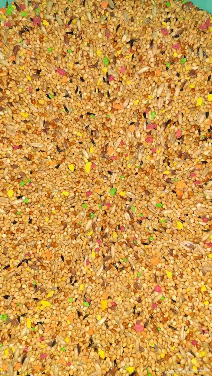 مستلزمات طيور 3