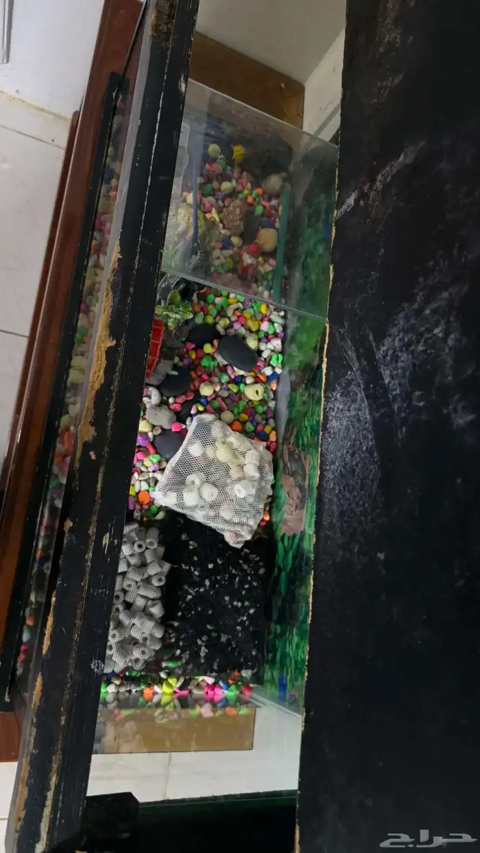 حوض سمك 2
