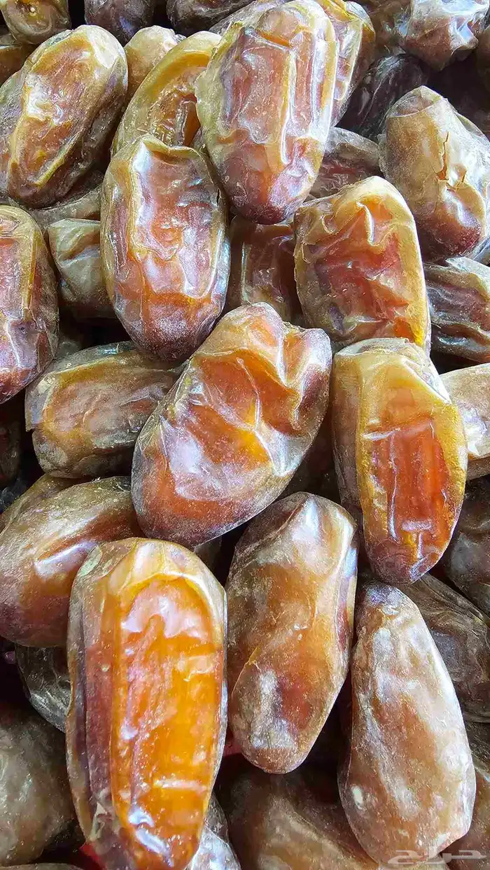 صفري بيشه حبه كبير فاخر 1
