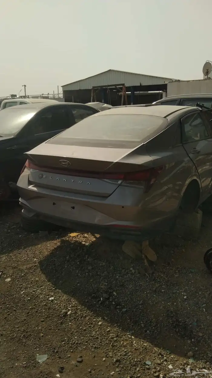 النتراء 2020 تشليح فقط تشاليح الحاير 2