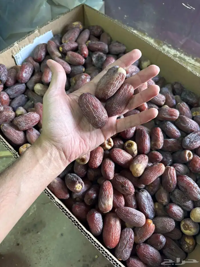 يوجد لدينا مجدول 1