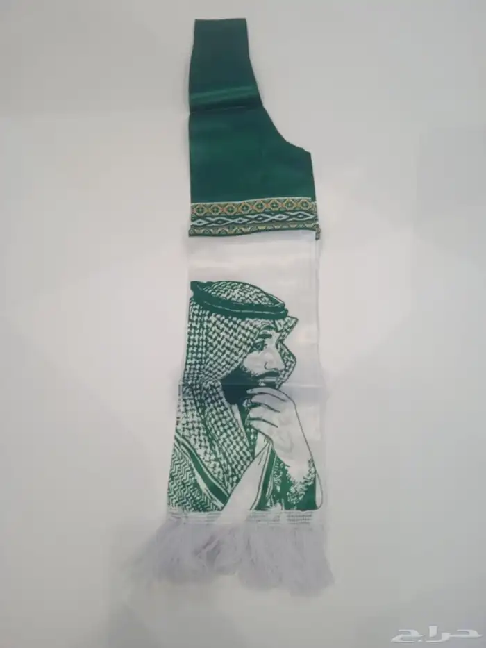 اليوم الوطني السعودي 95 11