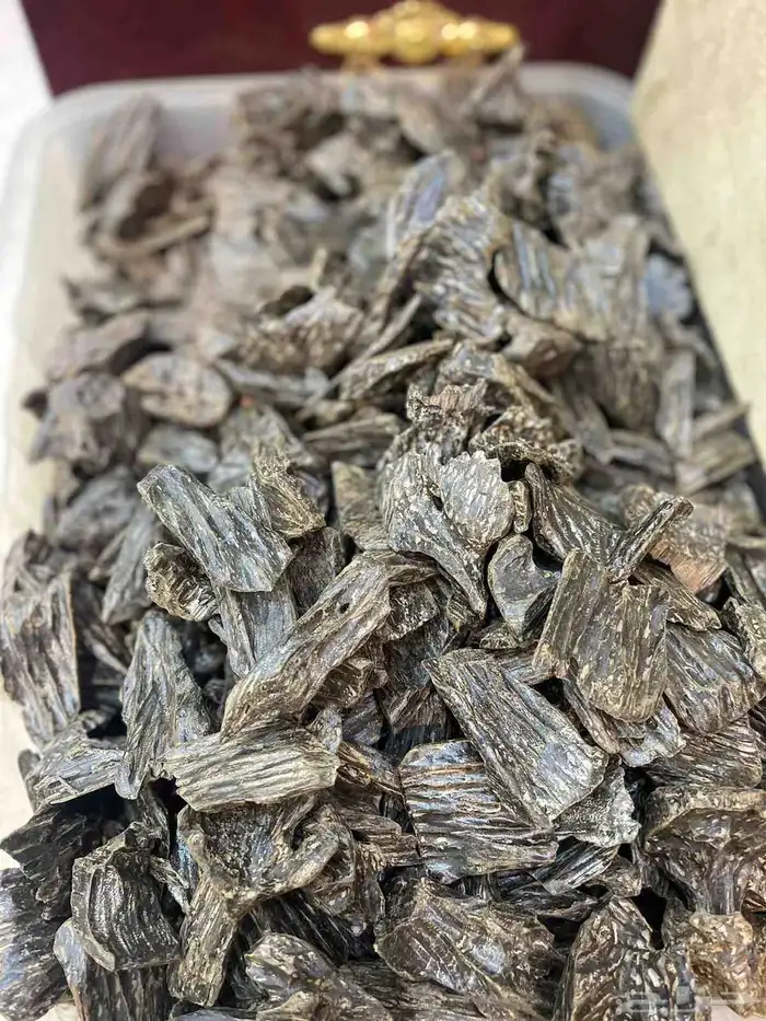 عروض اليوم الوطني على العود الطيب 1