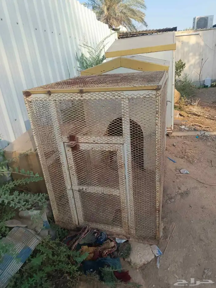قفصين للبيع تنفك كلاب و دجاج و قطط 2