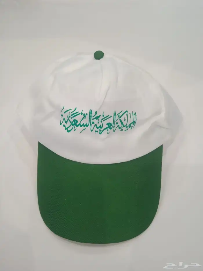 اليوم الوطني السعودي 95 19