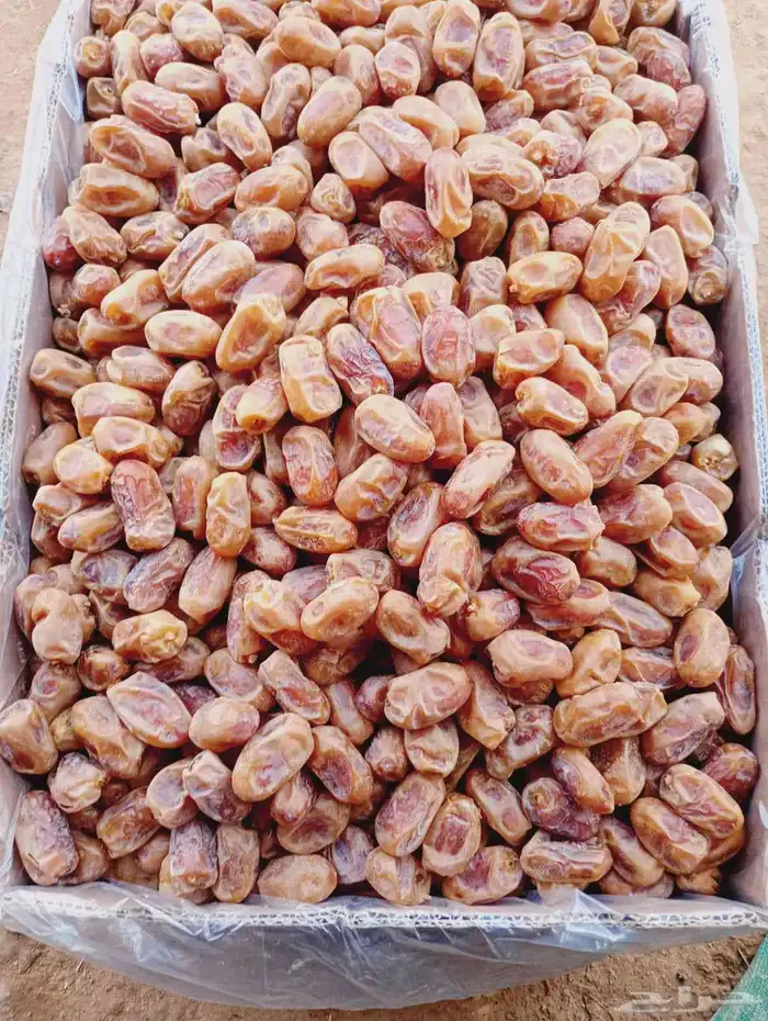 تمر خلاص ملكي درجه اولي 5