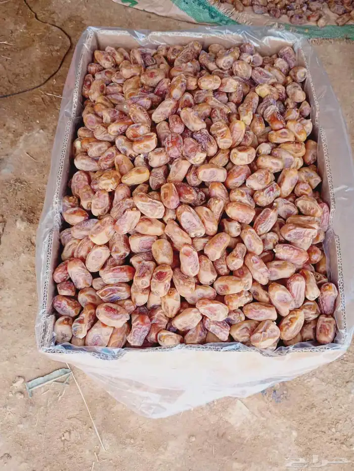 تمر خلاص ملكي درجه اولي 4