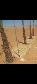 حجرعلا اطبيعه مشا الله اتوصل 0