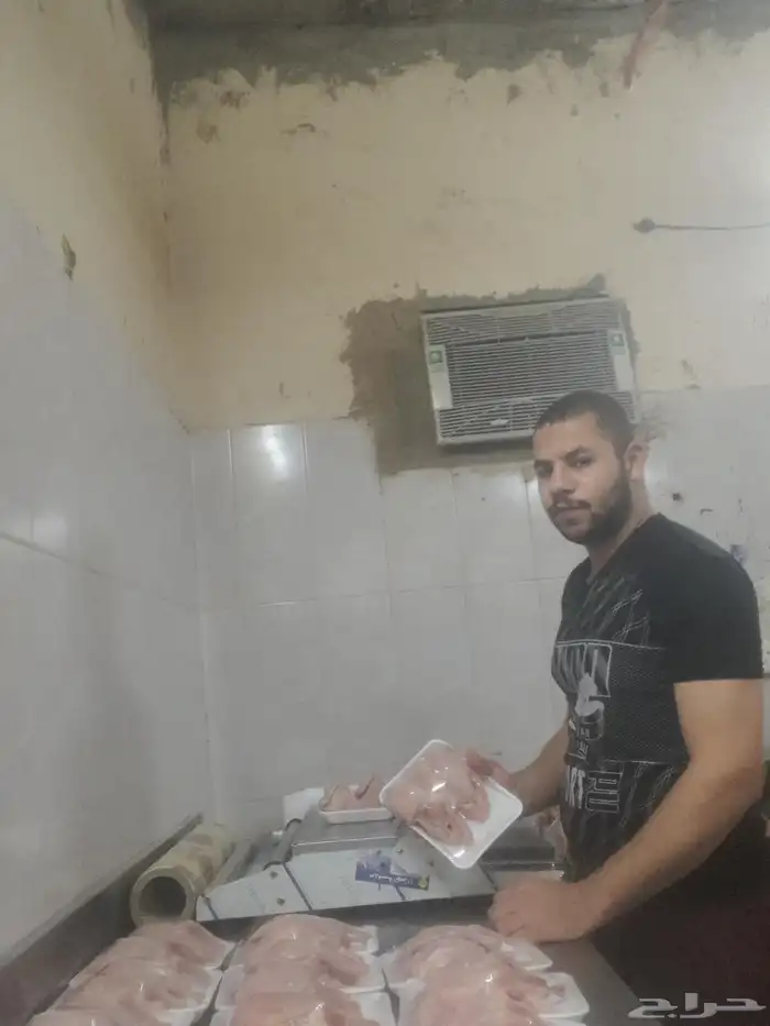 مساول وسلخ دجاج حمام بط ارانب 3