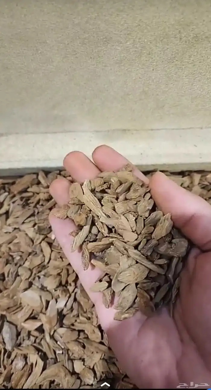 مزاد عود طبيعي مروكي  هندي وغيرها 5