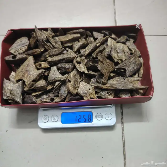 عود كينام صيني فاخر مستزرع 5